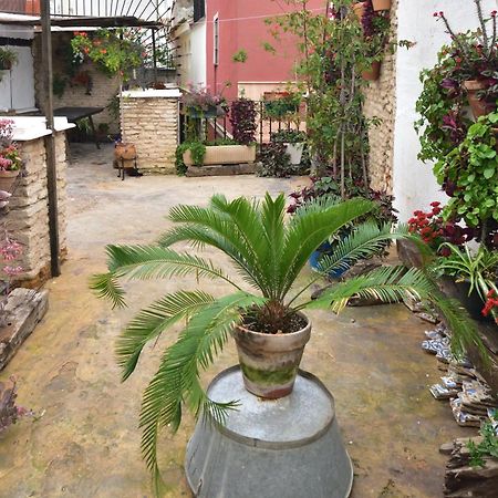 סביליה Casa Tenorio Barrio De Santa Cruz מראה חיצוני תמונה