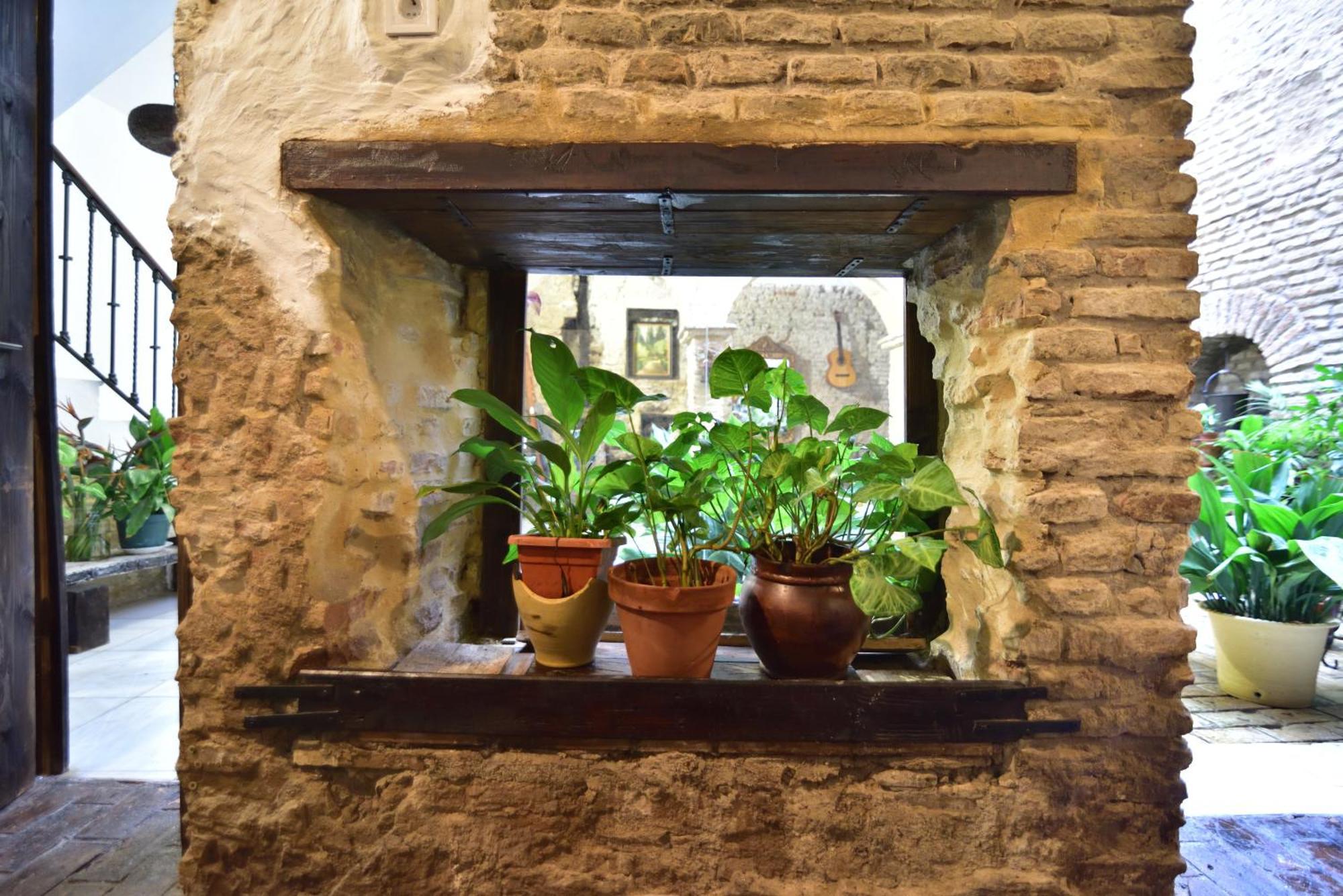 סביליה Casa Tenorio Barrio De Santa Cruz מראה חיצוני תמונה